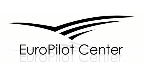 Custom Made Pilot Wings
