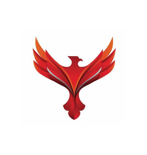 Custom Made Pilot Wings